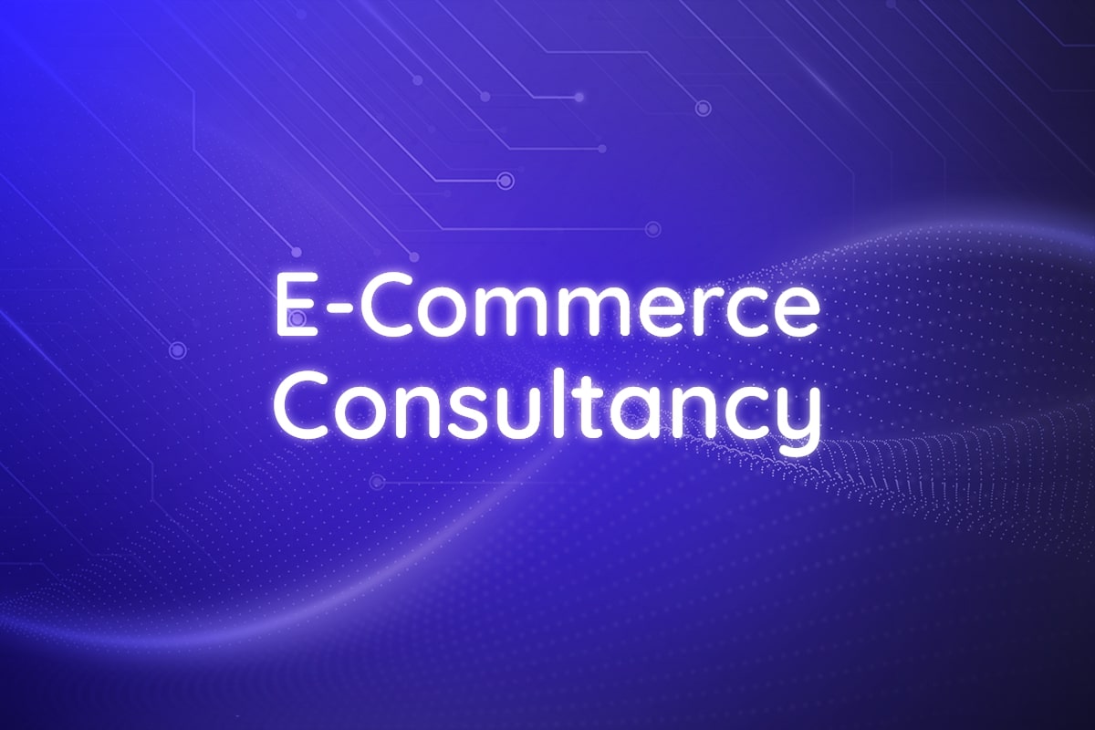E-Commerce Consultancy